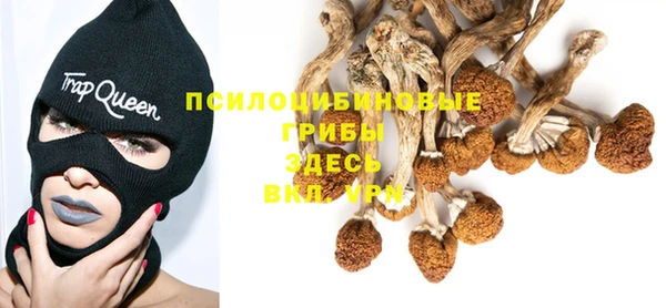 крисы Михайлов